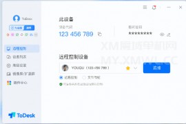 ToDesk远程协助软件