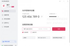向日癸远程协助软件分享